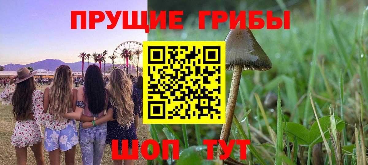 Псилоцибиновые грибы Psilocybine cubensis  Псилоцибиновые грибы MAGIC MUSHROOMS  Вход с VPN  Курчалой 