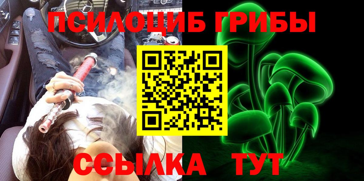 Псилоцибиновые грибы Psilocybine cubensis Курчалой
